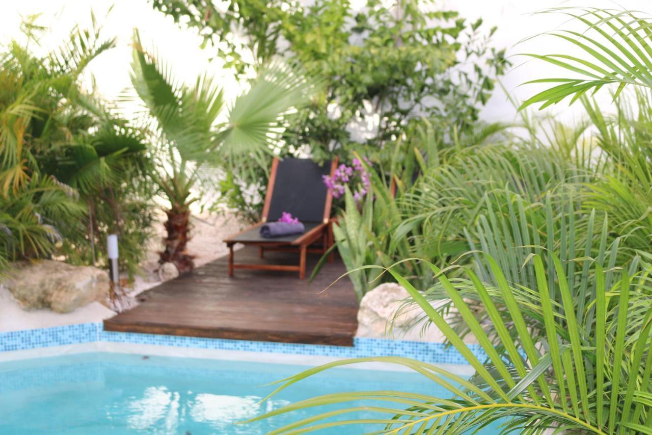 New House Tropic Paradise With Pool Willemstad Eksteriør billede