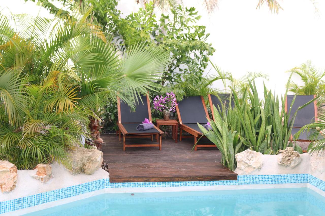 New House Tropic Paradise With Pool Willemstad Eksteriør billede