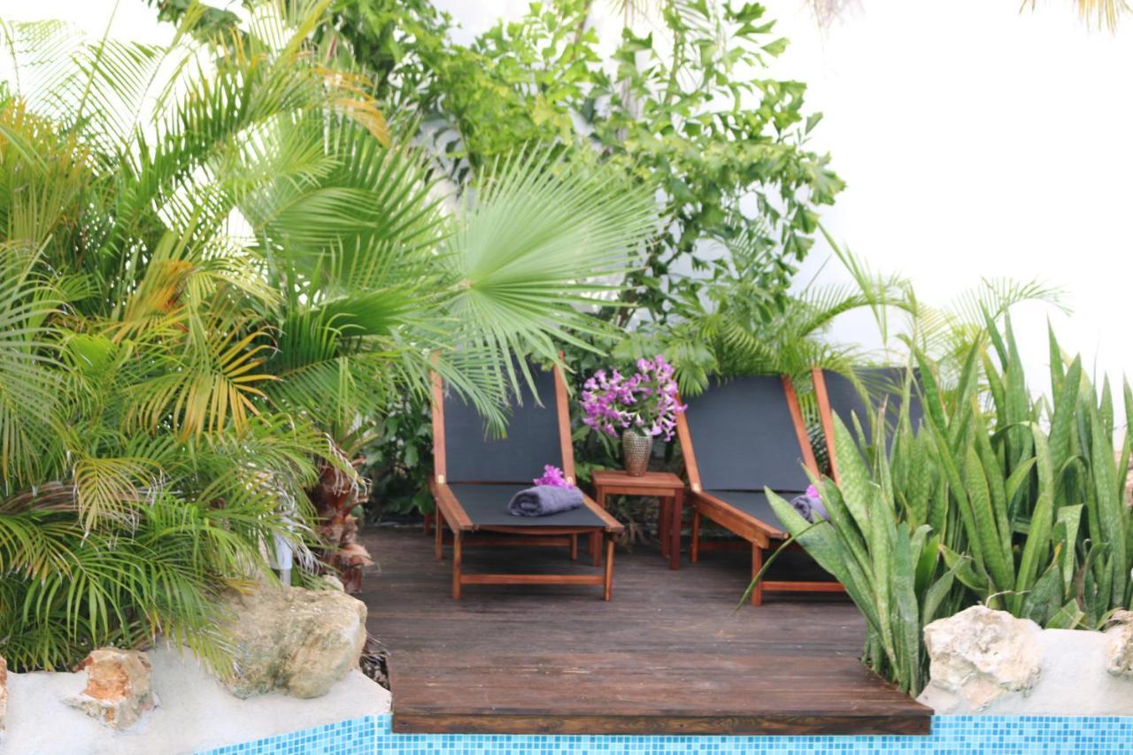 New House Tropic Paradise With Pool Willemstad Eksteriør billede