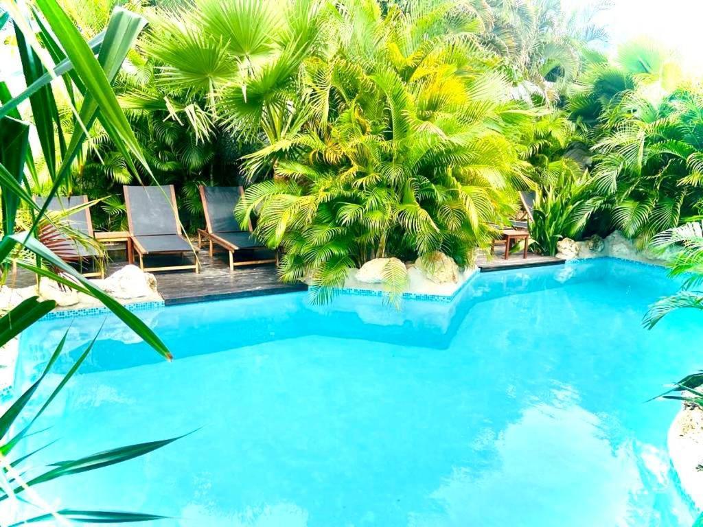 New House Tropic Paradise With Pool Willemstad Eksteriør billede