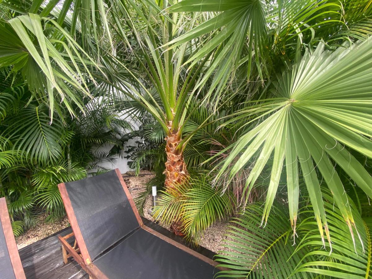 New House Tropic Paradise With Pool Willemstad Eksteriør billede